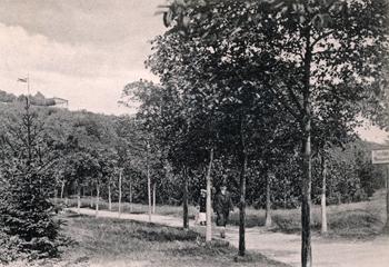 Nadmorska promenada w okolicy restauracji na Wzgórzu Piwowara (Brauershoehe) , zdjęcie z ok. 1900 r. źródło: KC