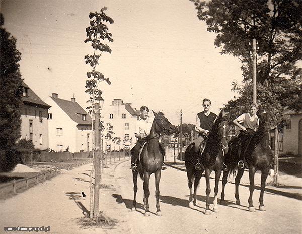 Ujeżdżalnia Koni